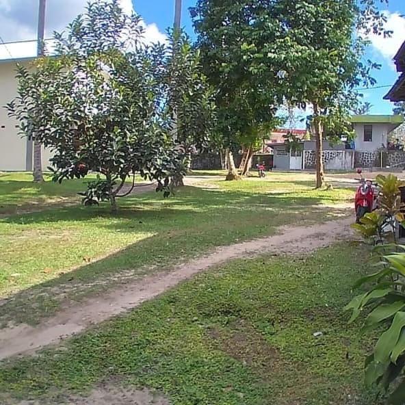 Mimi Guest House Syariah بانكالان بون المظهر الخارجي الصورة